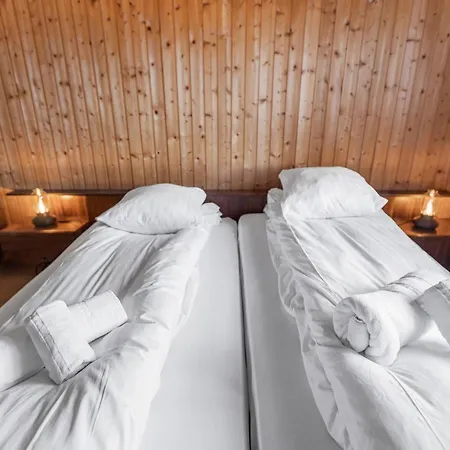 Apartmán Rustique Avec Parking Prive Et Terrasse Nendaz